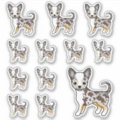 Sticker Chocolat Merle Smooth Coat Chihuahua Cute Dogs (Devant)