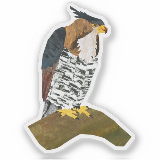 Sticker Chouette faucon (Devant)