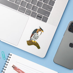 Sticker Chouette faucon