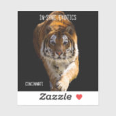 Sticker Cincinnati Tiger - (Feuille)