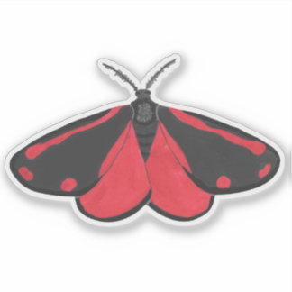Sticker Cinnabar Moth