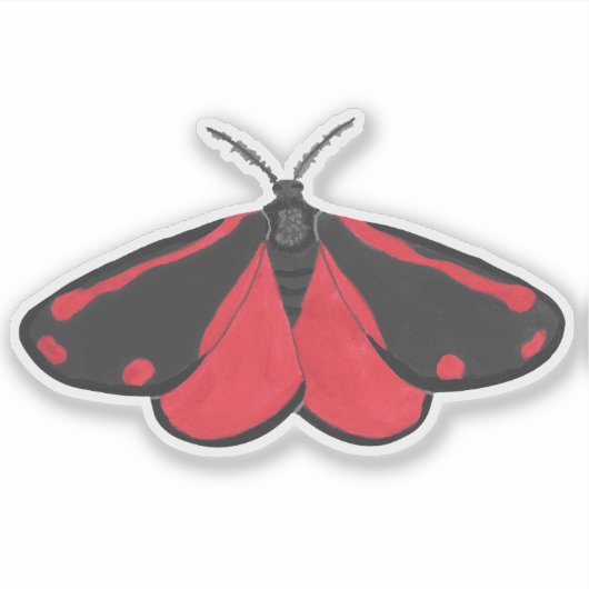 Sticker Cinnabar Moth (Devant)
