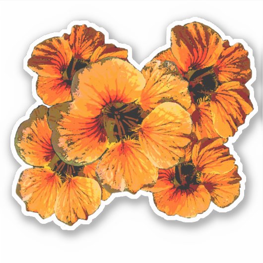 Sticker Cinq fleurs de capucine stylisées orange florales (Devant)