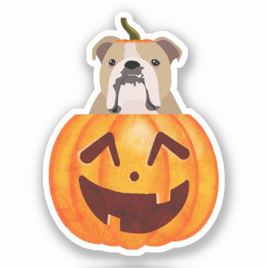 Sticker Citrouille Bulldog (Recto)