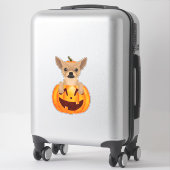 Sticker Citrouille Chihuahua (Sur valise)