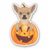 Sticker Citrouille Chihuahua (Devant)