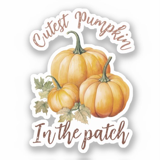 Sticker Citrouille le plus précis dans le patch (Recto)