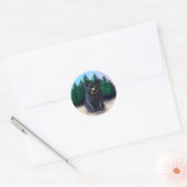 Sticker Classic Rond Noir Bear Cub (Enveloppe)