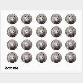 Sticker Classic rond Possum (Feuille)