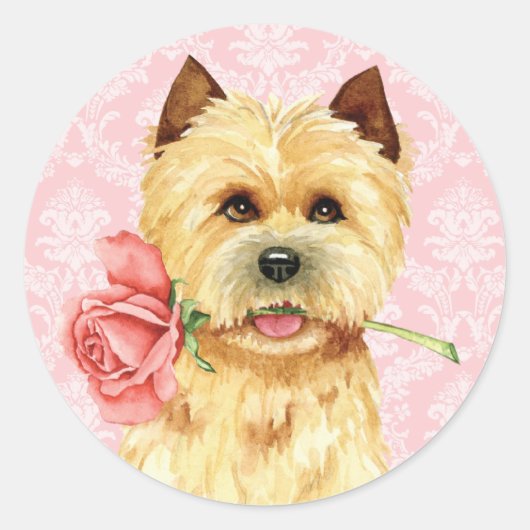 Sticker Classic Rond Rose de Valentine Cairn Terri (Devant)