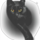Sticker Clous de dépôt de chats noirs (Devant)