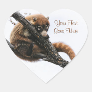 Sticker: Coatimundi #5 (Hart) Hart Sticker