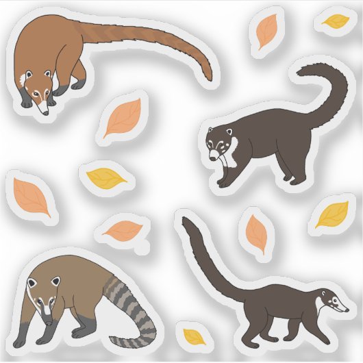 Sticker Coatis (Devant)