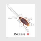 Sticker Cockroach (Feuille)