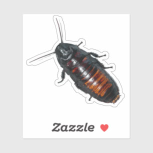 Sticker Cockroach géant