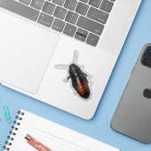 Sticker Cockroach géant (Ordinateur portable avec iPhone)