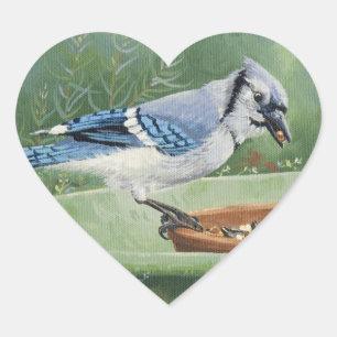 Sticker Cœur 0481 Jay bleu à l'alimentation