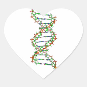 Sticker Cœur ADN - science/scientifique/biologie