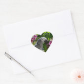 Sticker Cœur African Grey Parrot with Orchids (Enveloppe)
