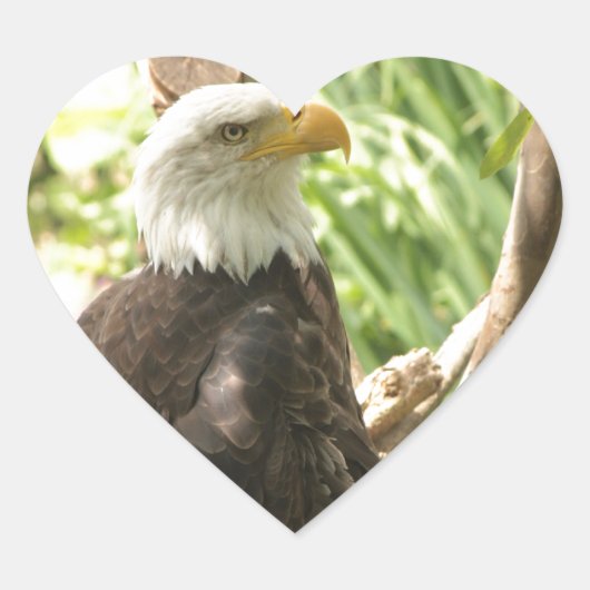 Sticker Cœur Aigle de Bald (Devant)