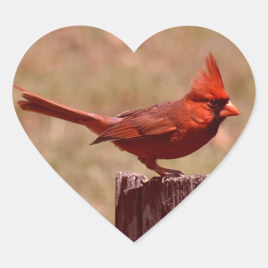 STICKER CŒUR AJOUTER UNE PHOTO (Devant)