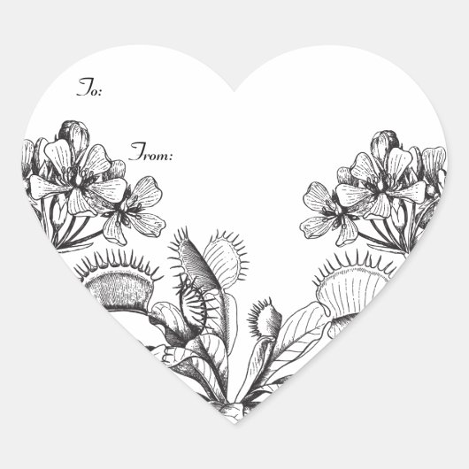 Sticker Cœur Balise cadeau Vénus Flytrap vintage Botanique (Devant)