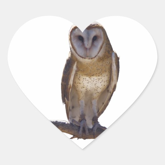 Sticker Cœur Barn Owl (Devant)