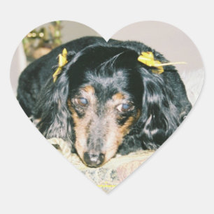 STICKER CŒUR BÂTIMENTS DU COEUR DE DACHSHUND - FEUILLE 20 - CAD