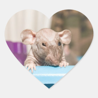 Sticker Cœur bâton de rat
