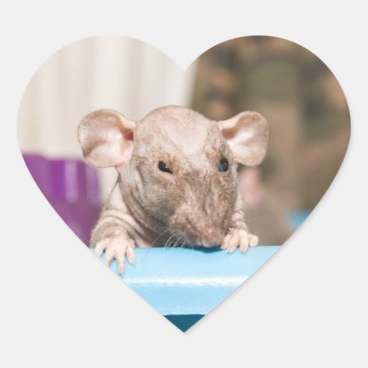 Sticker Cœur bâton de rat (Devant)