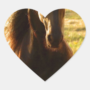 STICKER CŒUR BEAU CHEVAL FRIÉSIEN