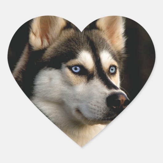 Sticker Cœur Beau Oreiller Husky Lrow (Devant)