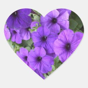 Sticker Cœur Beau Petunias