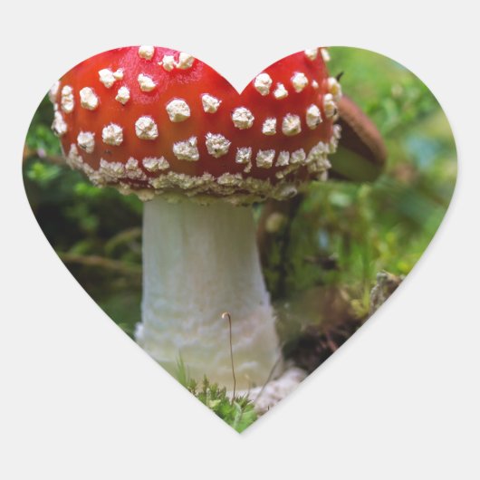 Sticker Cœur Beauté d'automne (Devant)