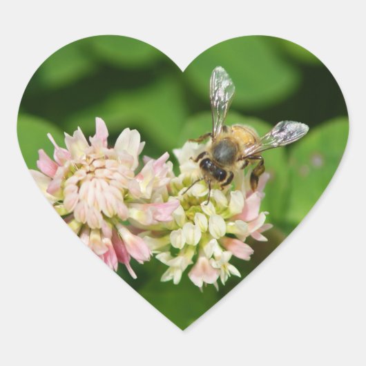 Sticker Cœur BEE MINE Bumble Bee 4 feuilles Clover Fleurs de mi (Devant)