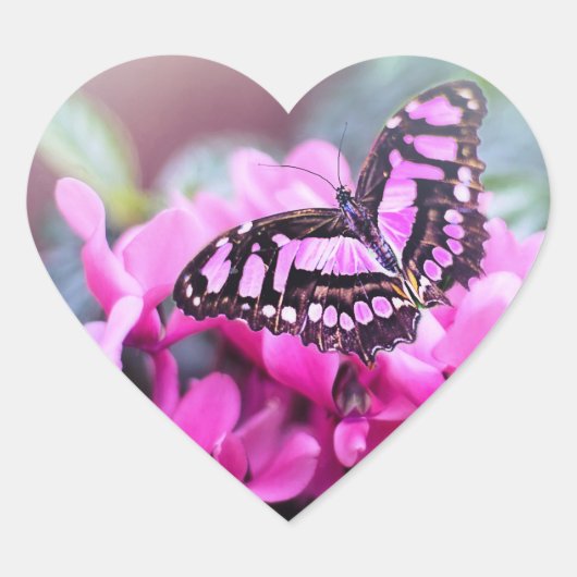 Sticker Cœur Belle (Devant)