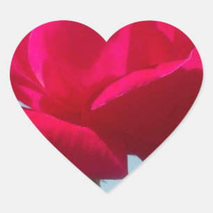 Sticker Cœur Belle belle Rose céleste rouge contre bleu