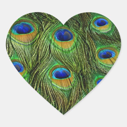 Sticker Cœur Belles plumes de paon (Devant)