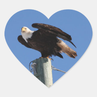 Sticker Cœur BEOUP Baud Eagle sur le pôle utilitaire