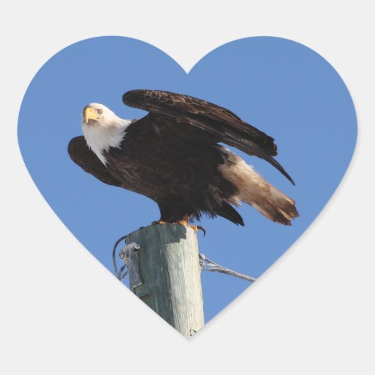 Sticker Cœur BEOUP Baud Eagle sur le pôle utilitaire (Devant)