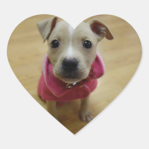 Sticker Cœur Beurre