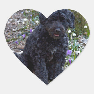Sticker Cœur Black Anglais Springer Spaniel