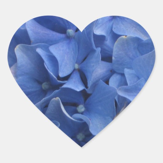 Sticker Coeur Blue Hydrangeas (Devant)