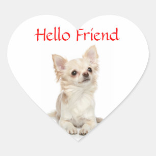 Sticker Cœur Bonjour ami Chihuahua aux longs poilsHeart Autoco