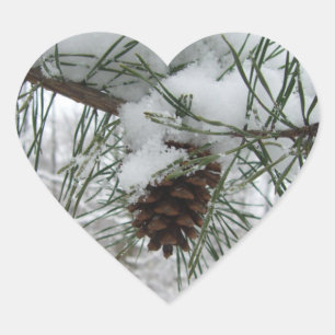 Sticker Cœur Branche des pins neigeux Photographie de la nature