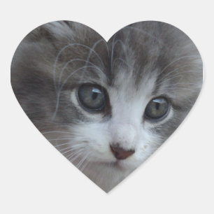 Sticker Cœur Burr Baby