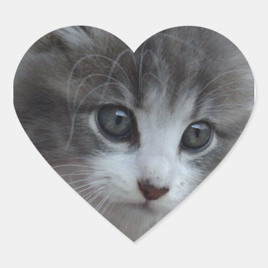 Sticker Cœur Burr Baby (Devant)