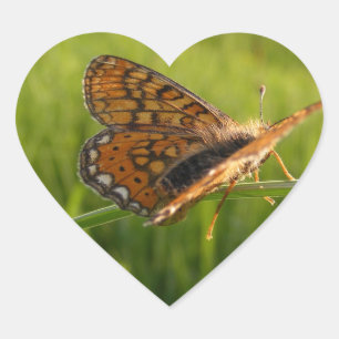 Sticker Cœur Butterfly prend dans son environnement.