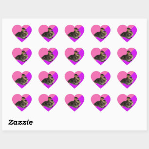 Sticker Cœur Canetons sur framboise rose et sorbet violet