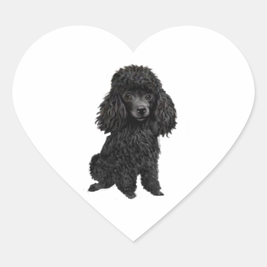 Sticker Cœur Caniche noir (#3) (Devant)